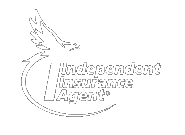 Independent Insurance Agent