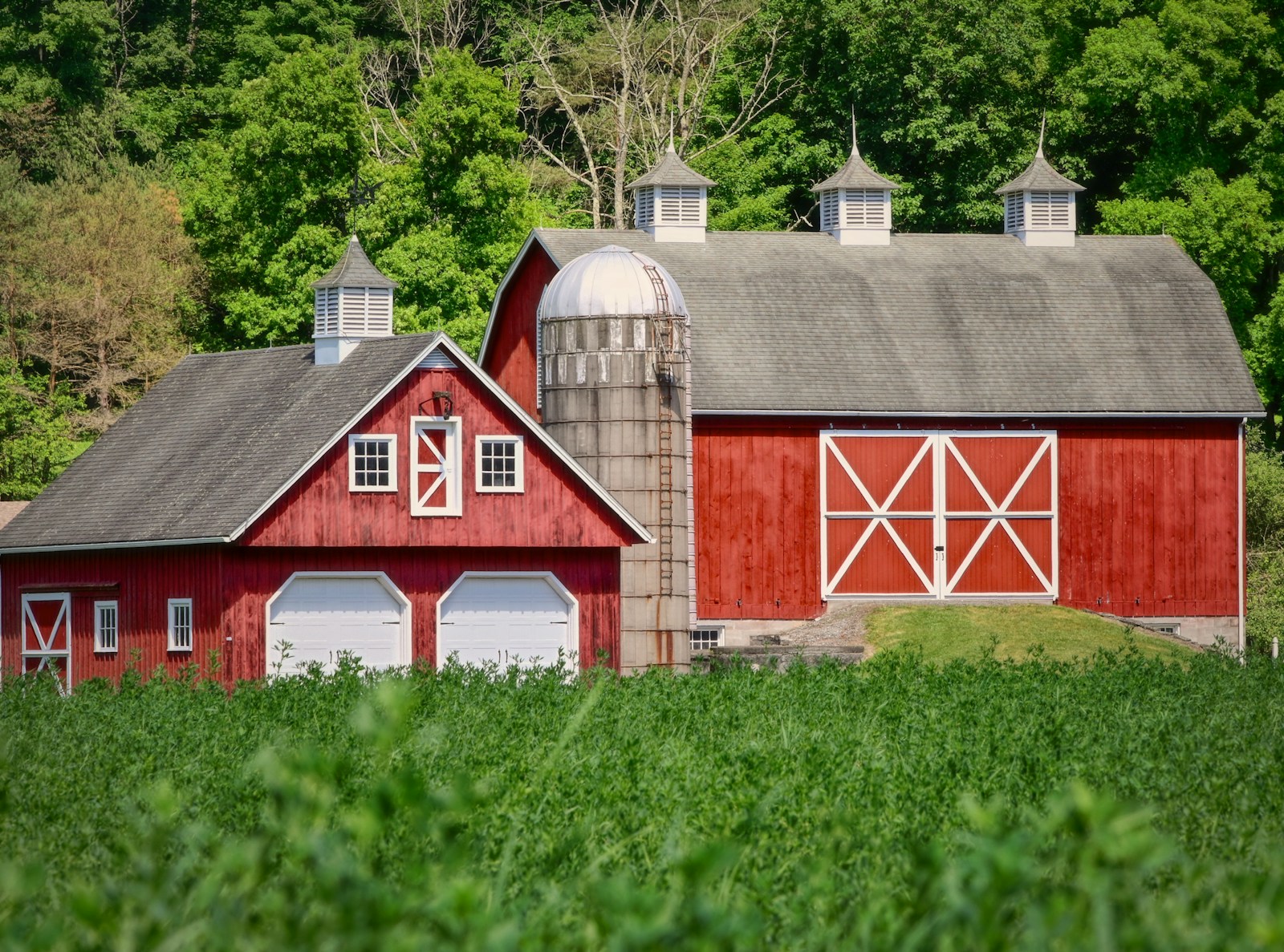 red and white wooden barn house on green grass field, farm