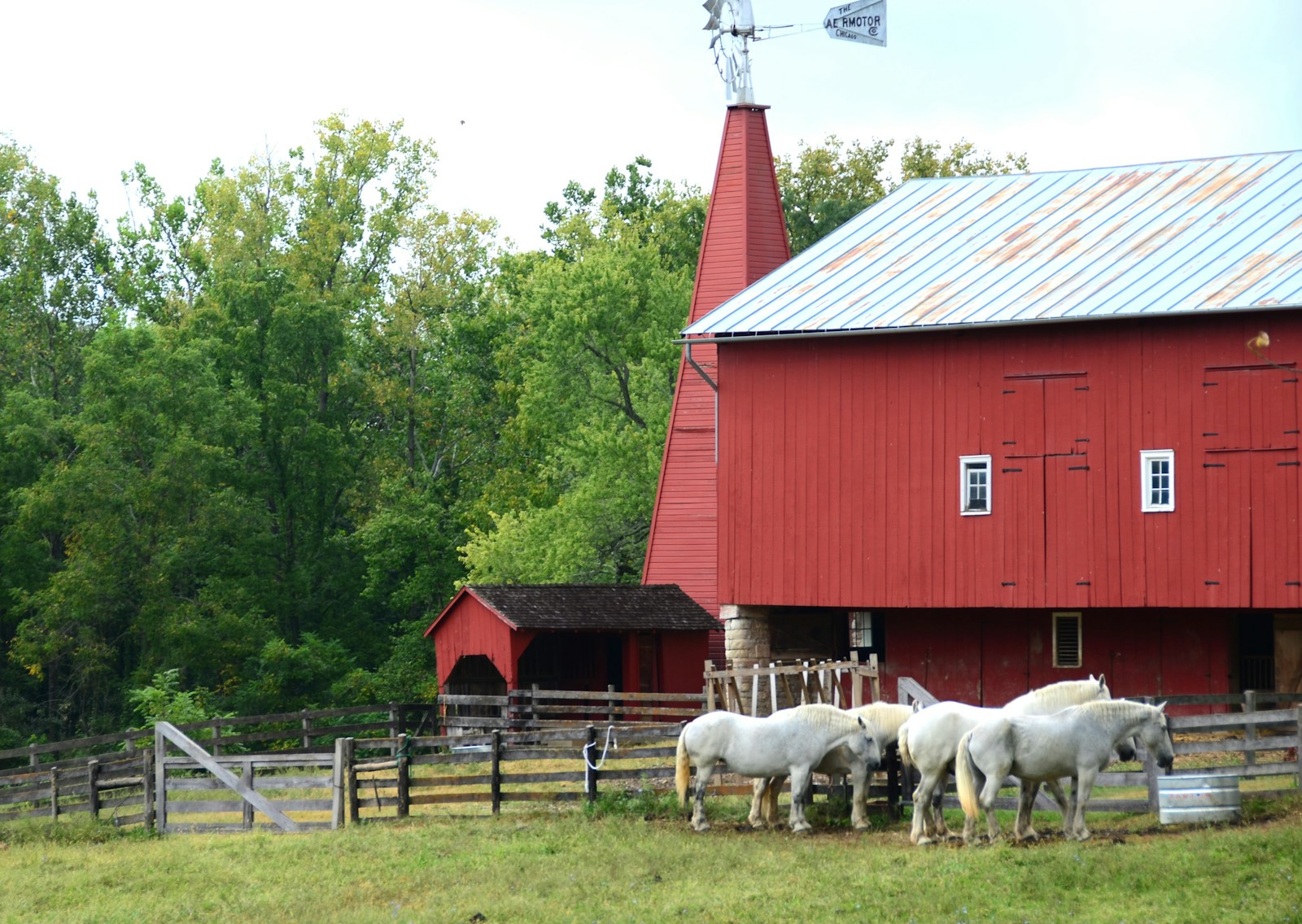 a group of horses standing in front of a red barn, farm